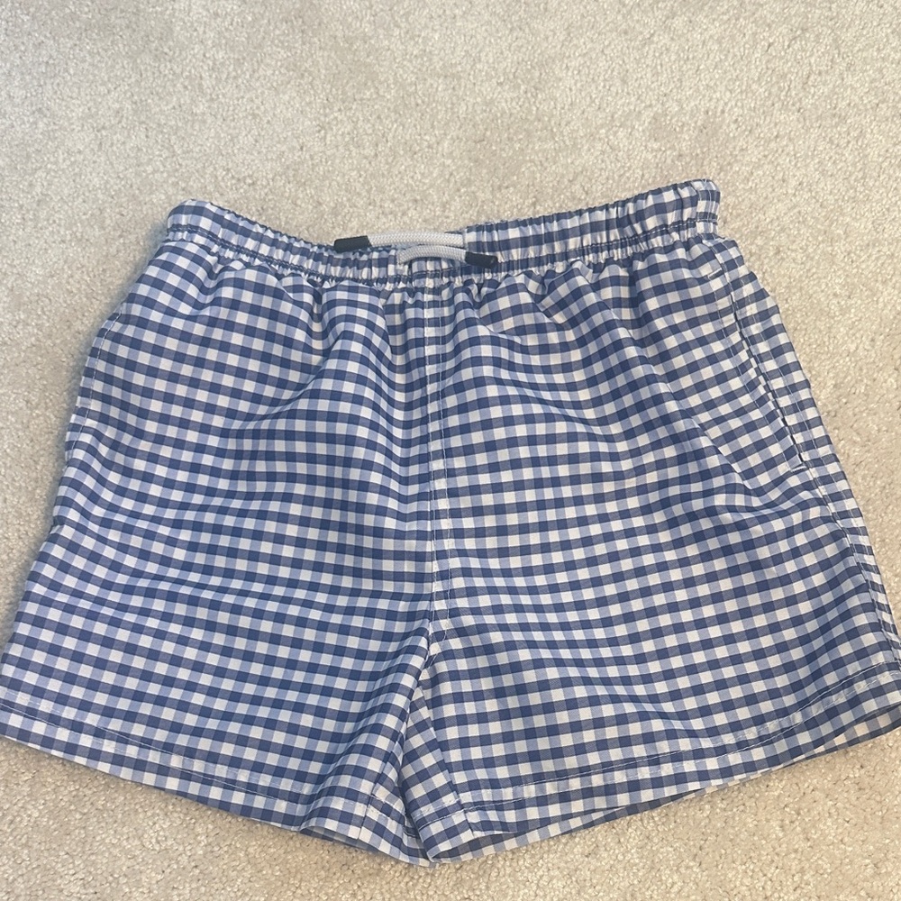 Boys Blue and White Checkered Swim Shorts